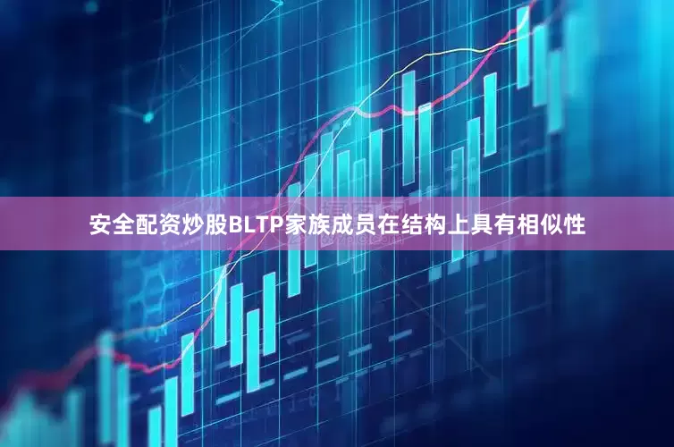 安全配资炒股BLTP家族成员在结构上具有相似性